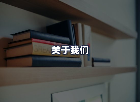 关于我们